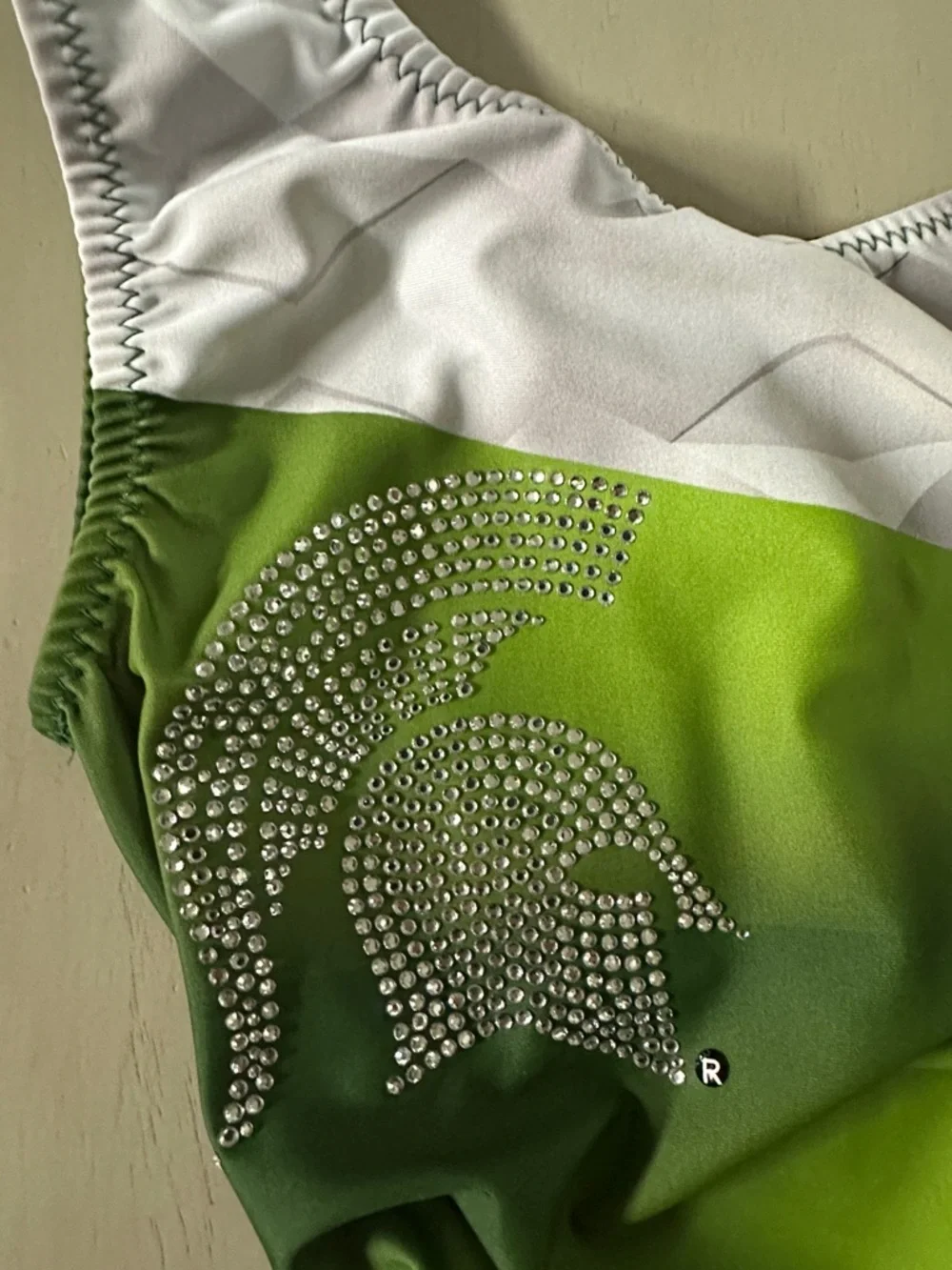 Foxy’s Gymnastics Michigan State University Spartans Ombré Leotard